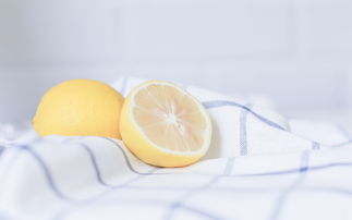 亲情不分南北东西句子 1