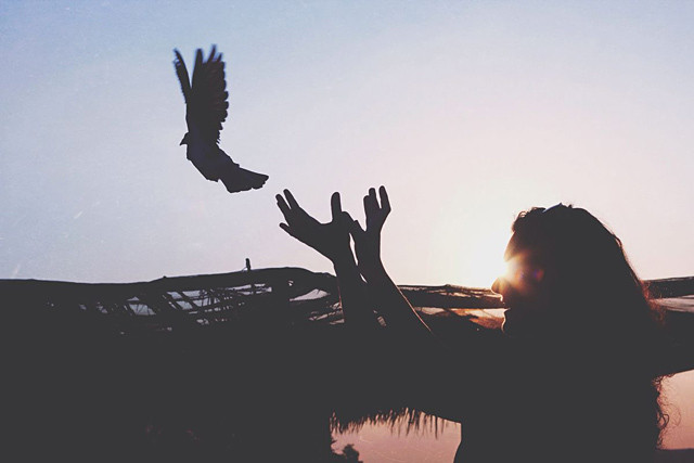 15.诗歌来自品格。作者：西仔出处：艺术带诗概述