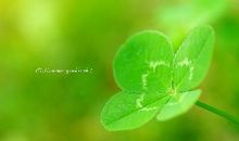 关于幸运的句子