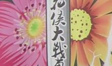 桃花侠大战菊花怪语录