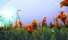 描写空气清新的句子