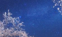 赞扬老师的名言警句以及亲情的句子