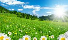 关于阳光的优美句子