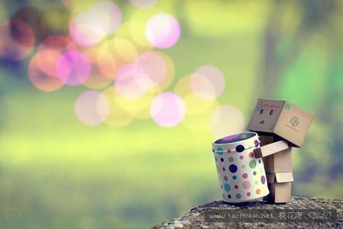 关于放弃心痛的句子 2