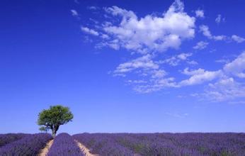 关于旅行的漂亮句子