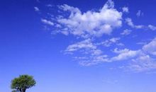 关于旅行的优美句子