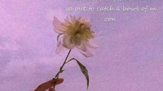 亲情在父母___写句子