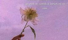 亲情在父母___写句子