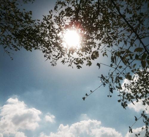 亲情在父母___写句子 2