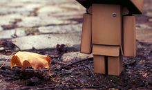 关于遗憾的抒情句子