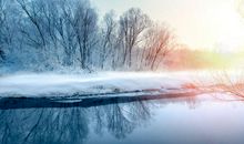 写冬天的景色诗句