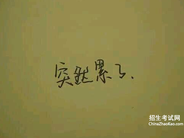 描写夫妻感情的句子