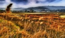 描写秋天的古诗句