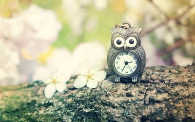 简短的孤独励志句子