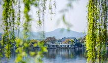 诗里描述亲情的句子