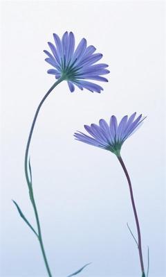 关于亲情破裂的句子说说心情 1