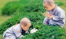 做人的佛法禅语20句（二）