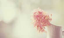 一句对你失望透顶的句子