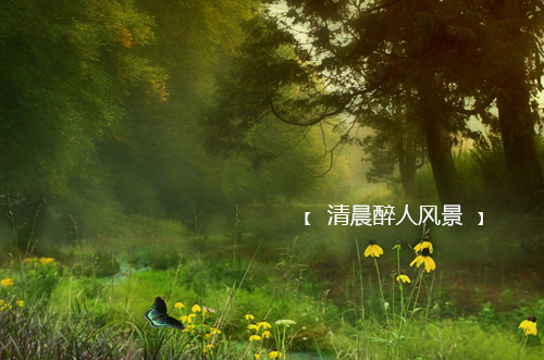 李嘉诚励志语录 7