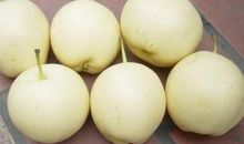 描写梨子的比喻句