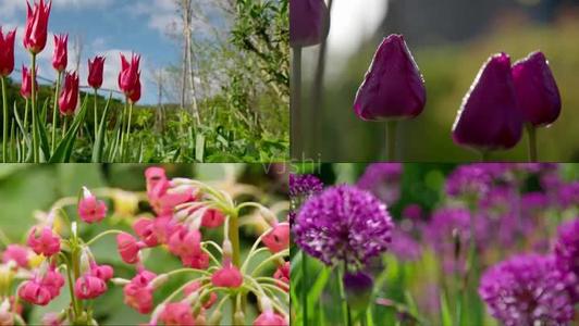 友谊亲情的诗句或名言或句子 1