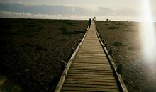 每个人都有自己的特点