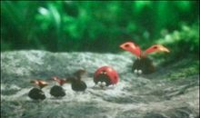 亲情难以阻断句子