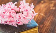 诗词中描写亲情的句子