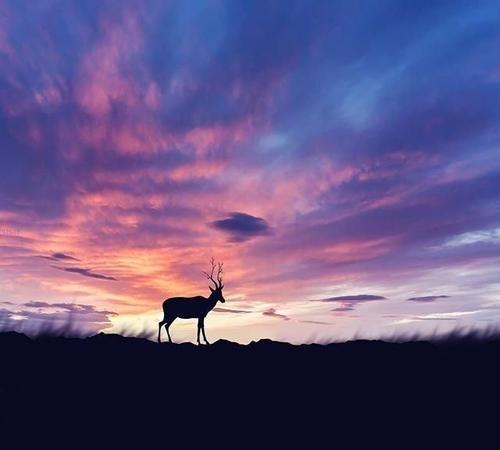 浮躁的心静沉淀句子