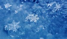 描写寒冷的诗句 描写寒冬凛冽的诗句