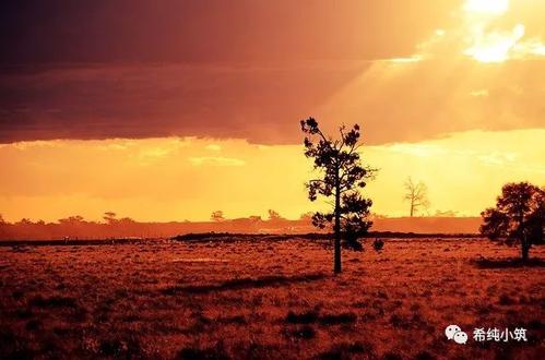 看了让人心静霸道的句子 1