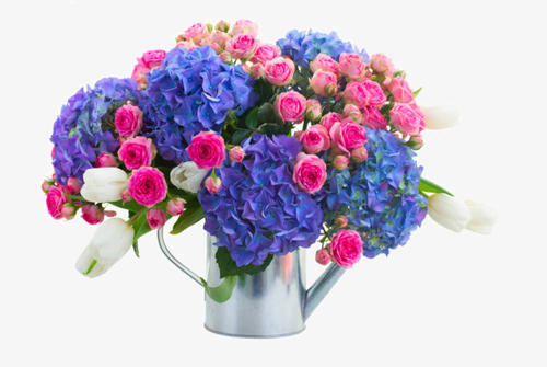 写亲情的诗句和句子 1