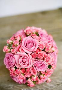 写亲情的诗句和句子 2