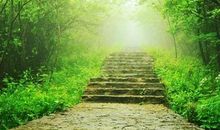 以亲情为话题引用古诗写句子