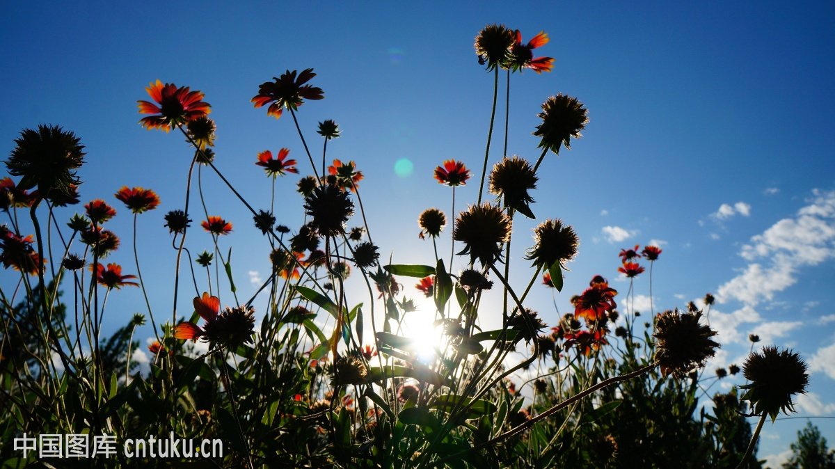 15.那些有远见的人有志向，有远见的人。