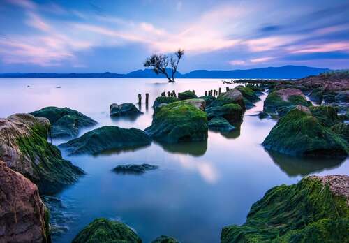 10.在一条消息中隐藏我的关心，真诚和祝福，然后将其发送到月球，然后环绕月球以吸收月球的温暖精华，然后将其悄悄发送到您的手机，带来真诚的祝福和问候，并祝愿您生活幸福！