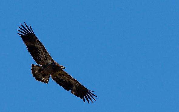 激励学生的句子1