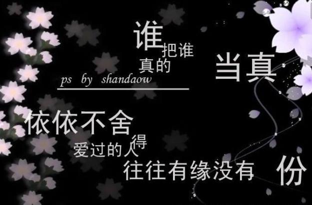 爱情句子大全 12