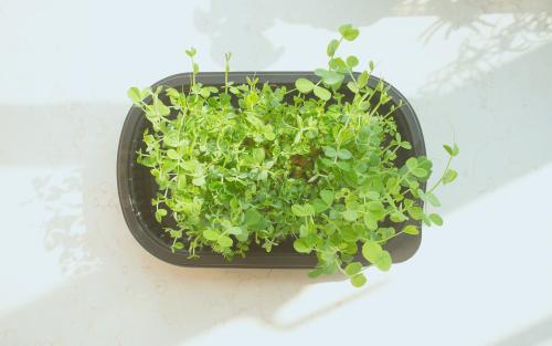 劝男朋友开心的句子 让男友开心的一句话 2