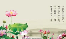 赞扬荷花的诗句