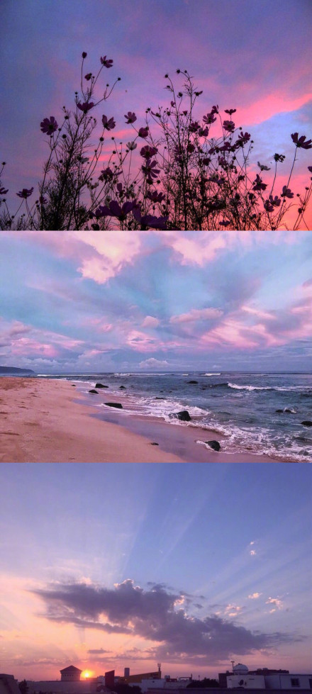 9.别人牵着我的手，我抱着我的狗，四处走走，看看，看看谁不高兴和被咬。