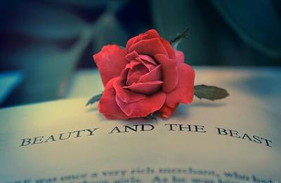 QQ空间美丽爱情语录