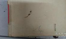 落落须臾经典语录