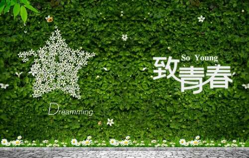 关于青春与恩典的句子