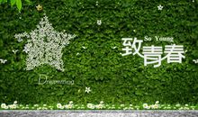 关于青春优美的句子