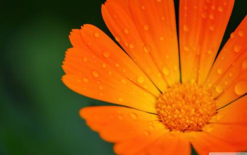 亲情伤心失望的句子说