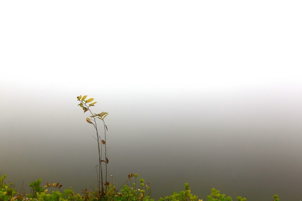 11.下着毛毛雨，滋润了一切，倾倒了忧虑。洗净了世界，迎来了新鲜感；驱散忧郁，快乐的心情；点缀风景，丰富画卷。愿您在雨中享受浪漫，过上幸福的生活！