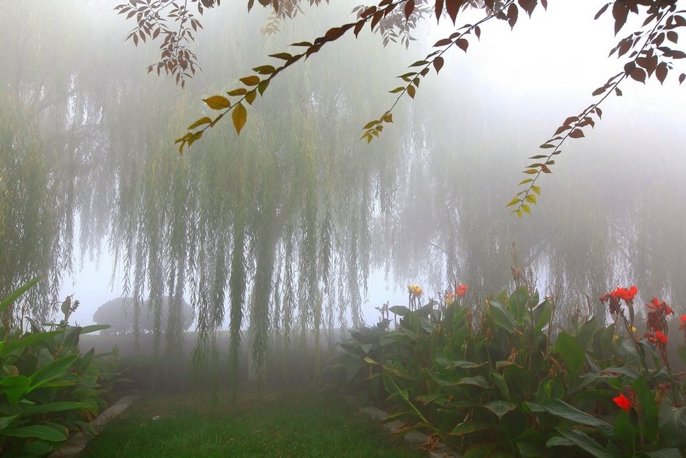 10.小雨使人们快乐并滋润绿色植物。大雨使人们高兴，并冲刷了大地和天空。世界是一个干净，快乐，心情愉快的世界。雨后出现彩虹，幸福与你同在。在下雨天打招呼：也许您不必担心下雨天，也可以在下雨后开心！