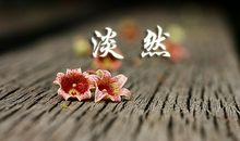 人生感触的抒情句子