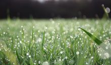 春天的优美句子